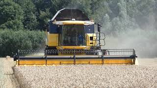 NEW HOLLAND CX8080 IN ACTION