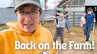 Time to Brand the Cows! | Large Family Day in the Life