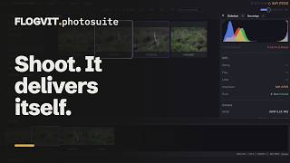 Hands-free photo delivery: FTP in, denoised, cropped, on Google Drive | FLOGVIT.photosuite