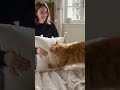 Funny cat vs Master #usa