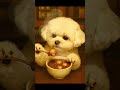 A Quiet Winter Bite… Glutinous Rice Balls in Warm Red Bean Porridge ASMR🥣조용히 떠먹는 겨울의 한입…팥죽 속 새알떡ASMR
