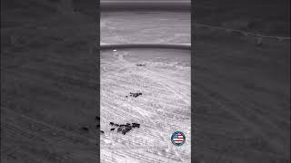 Warning: Viewer Discretion advised. Breaking news: hunters use drones to aid in hog hunting in Texas Warning: Viewer Discretion advised. Breaking news: hunters use drones to aid in hog hunting in Texas