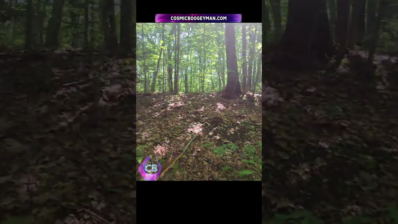 👓 Cosmic Lens | What If Your Greatest Growth Came From What Was Left Behind 🌲 #mrcosmic #CosmicLens thumbnail