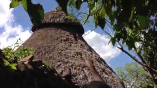 Konso Tribe Walk Thru The Fortified Rock Village