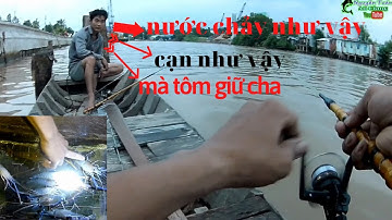 Câu tôm mùa nổi...Bằng mồi này tôm nhiều không thể tưởng..Giải trí miền tây