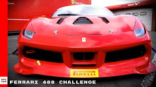 The ferrari challenge is an ever-youthful championship, fresh and full
of energy, a series which over course its 22 years has known how to
renew itsel...