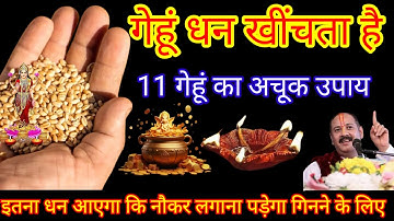 17 दिसंबर पौषमास मंगलवार द्वितीया तिथि को 11 गेहूं के दाने वाला उपाय जरूर करे || Pradeep Ji Mishra