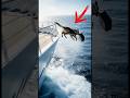 Police K9 Rescues Passengers on a Cruise Ship!#animals #rescue
