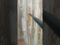 #perigord #workout #woodworking