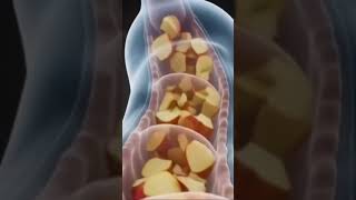 The Science of Eating an Apple Explained! #shorts