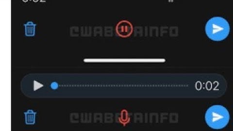 Vazou o Áudio do Grupo de Whatsapp..