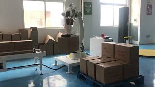 Palletizing machine | stacking machine | stacking robot | robot stacker | robot palletizer