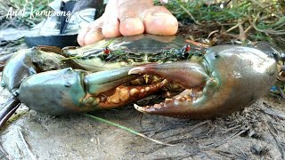 PANEN KEPITING JUMBO MENGGUNAKAN BUBU HASIL MELIMPAH