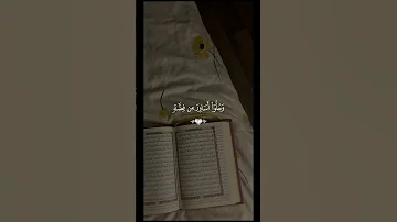 ويطوف عليهم ولدان مخلدون محمد اللحيدان 
