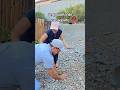 agarrando un pajarito! #birdprank #poop #wifegotme #funnyprank #nasty