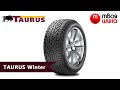 Taurus Winter - обзор зимних шин для легковых автомобилей