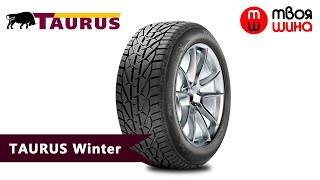 Taurus Winter - обзор зимних шин для легковых автомобилей