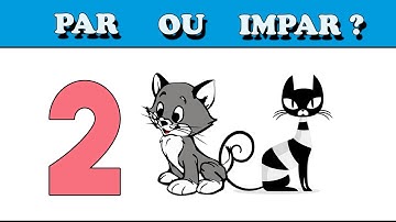 Aprendendo o Par e o Impar Com Muita Diversão / Ensinando o Par ou Impar para crianças - Seco Kids
