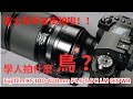 【十年老兵复活】Fujinon XF 100-400mm F4.5-5.6 R LM OIS WR 搭配 Fujifilm X-H2S / X-H2 还能打吗?English Subtitle
