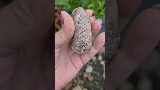 Pink Pudding stone?! 🩷