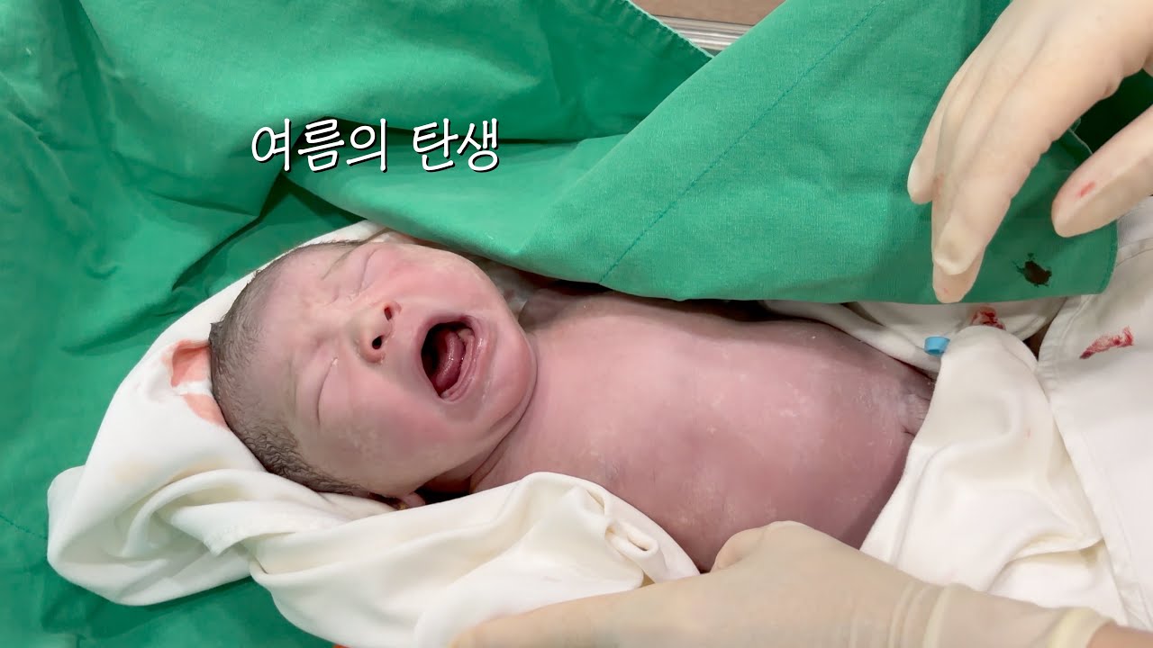 여름의 탄생 : 세상에 하나의 계절이 더해진 날