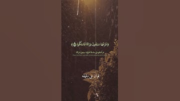 قران كريم ارح قلبك وسمعك #قران_في_دقيقة #حمزة_الفار #quran #المصحف @قران_في_دقيقة