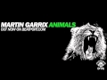 Martin garrix  animals