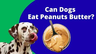 Can Dogs Eat Peanut Butter ? | Is peanut butter SAFE for dogs?