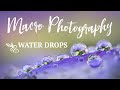 MACRO Photography | Water Drops on Flowers | Tips for Mobile Phone Photography