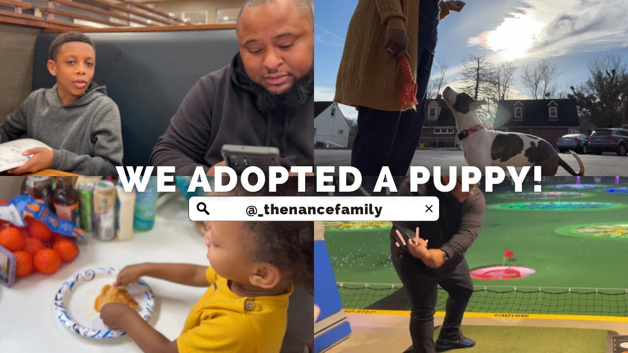 WE ADOPTED A PUPPY! #vlog - YouTube