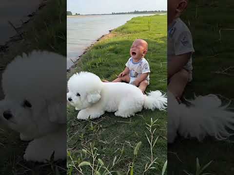 This dog is a genius with the ultimate babysitting skills! thumbnail