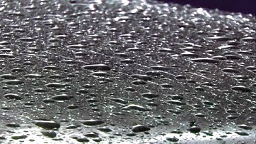 Brothomstates - Kava