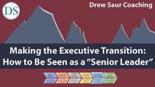 Making the Executive Transition: How to Be Seen as a “Senior Leader”