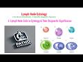 Lymph Node Cytology Part 3: Cell Types & Diagnostic Significance | Stepwise Approach
