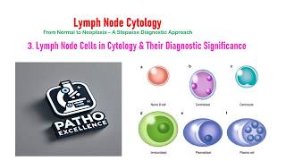 Lymph Node Cytology Part 3: Cell Types & Diagnostic Significance | Stepwise Approach