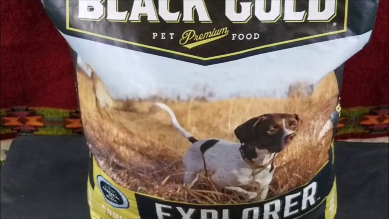 Black Gold Explorer - Premium Pet Food