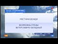 Прогноз погоды на 19 июля в Алтайском крае