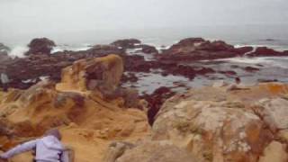 Camping Memory Video.wmv