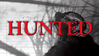 Watch Hunted Trailer
