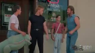 Chuck Norris Kicks Everyone Vol. 2
