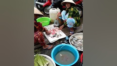 Chợ Ngan Dừa, Hồng Dân, Bạc Liêu