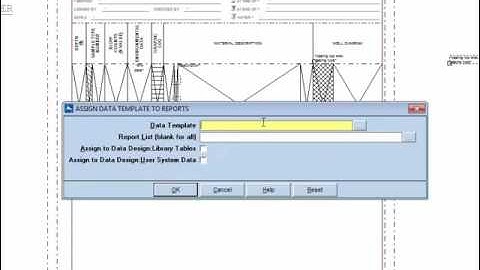 Create and Assign the Data Template to Report Design
