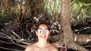 Viagem De  Carro De Brasilia A Ilhus Ba Itacar Praia Da Engenhoca