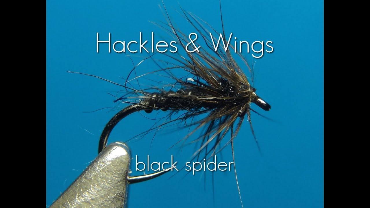 Fly Tying Black Spider | Hackles & Wings - YouTube