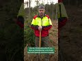 #fingerwegvomwaldgesetz: Frank Koch, Förster vom Niederrhein