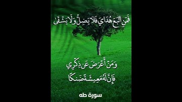 فَمَنِ اتَّبَعَ هُدَايَ فَلَا يَضِلُّ وَلَا يَشْقَىٰ // سورة طه
