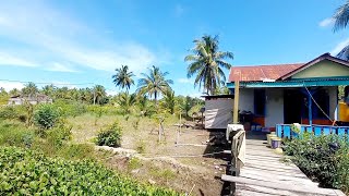 Download Lagu ALHAMDULILAH  HARI KE DUA RENOFASI DAPUR HAMPIR SELESAI MP3