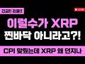리플 정말 미쳤습니다 이럴수가 XRP 찐바닥 아니라고?! CPI 맞췄는데 XRP 왜 던지나 XRP 무조건 올라요 #엑스알피 #리플코인 #엑스알피전망