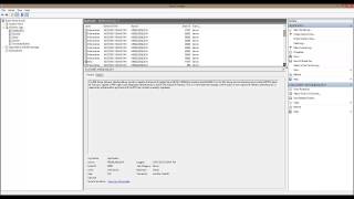 Celebrity Playing With The Resource Database Net Worth