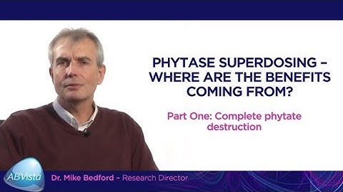 Superdosing – where are the benefits coming from? Part one: complete phytate destruction